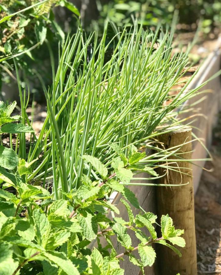 Pousada Pais Tropical Icarai  Εξωτερικό φωτογραφία
